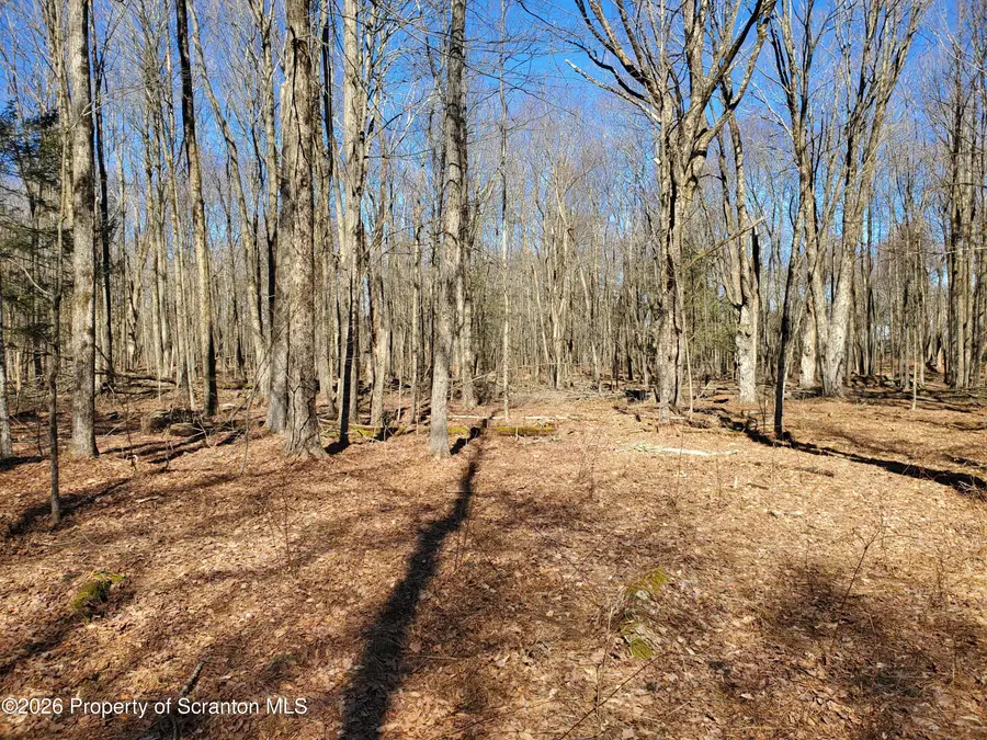 000 Ebbs Corner Road, New Milford, PA 18834 - #3