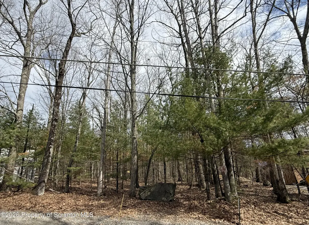 37R Lake Mode Drive, Tafton, PA 18464 - #1