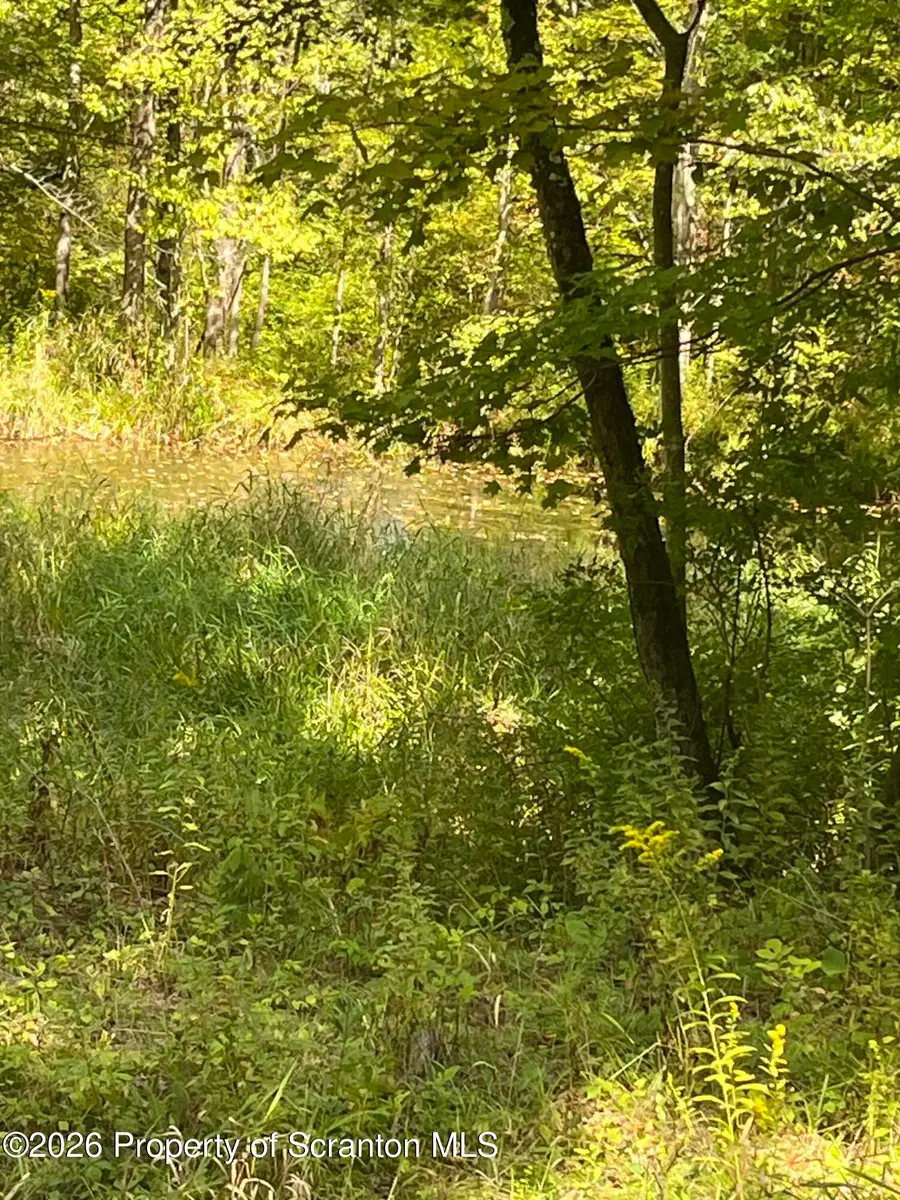 Keystone Road, Lake Ariel, PA 18436 - #3