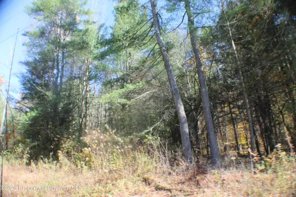 0 State Route 858 Highway, Little Meadows, PA 18830