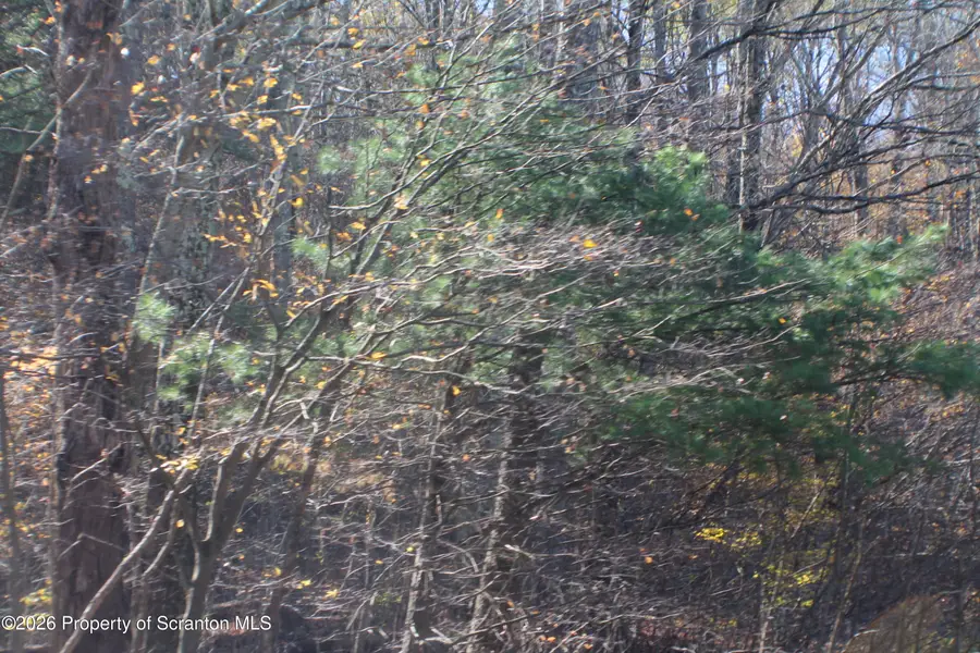 0 State Route 858 Highway, Little Meadows, PA 18830 - #2