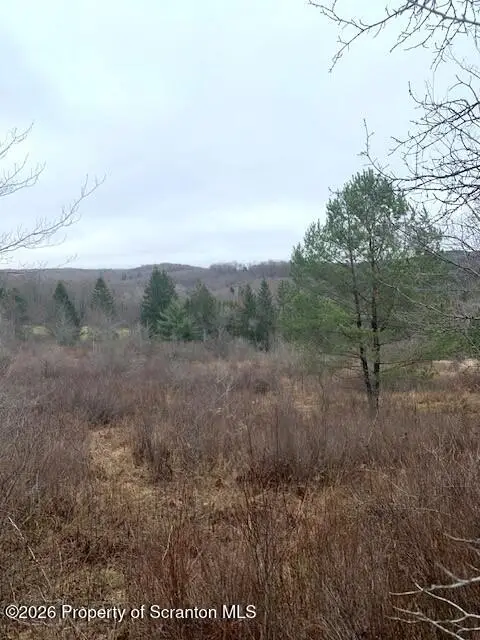 Jackson Valley Road, Little Meadows, PA 18830 - #1