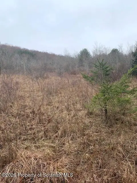 Jackson Valley Road, Little Meadows, PA 18830 - #3