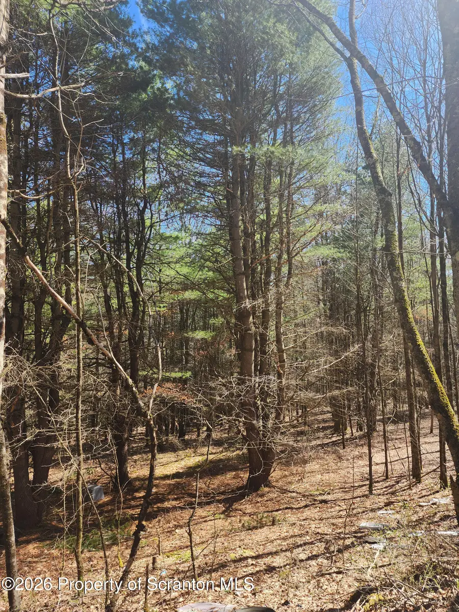 114 Tarbell Hill Road, Sanford, NY 13745 - #3