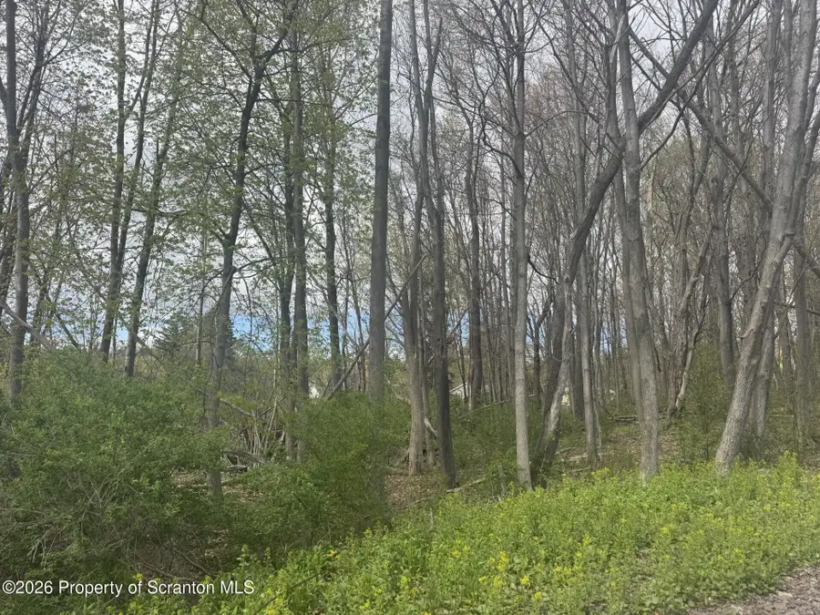 Fern Street, Clarks Summit, PA 18411 - #2