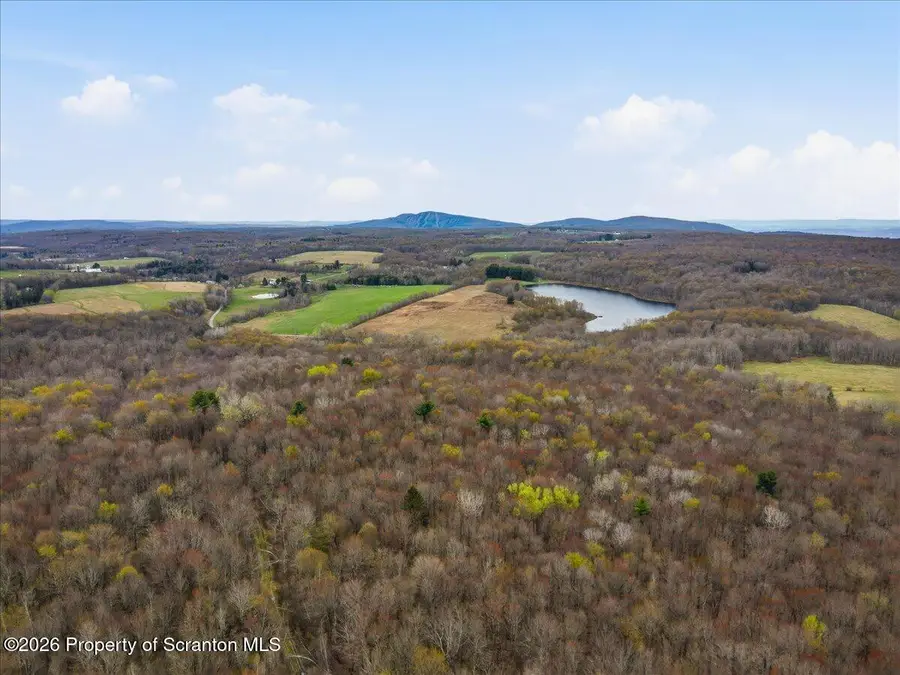1140 Ball Pond Road, Thompson, PA 18465 - #3