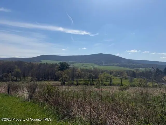 Lower Maple (3.99 Ac) Drive, Clarks Summit, PA 18411 - #2