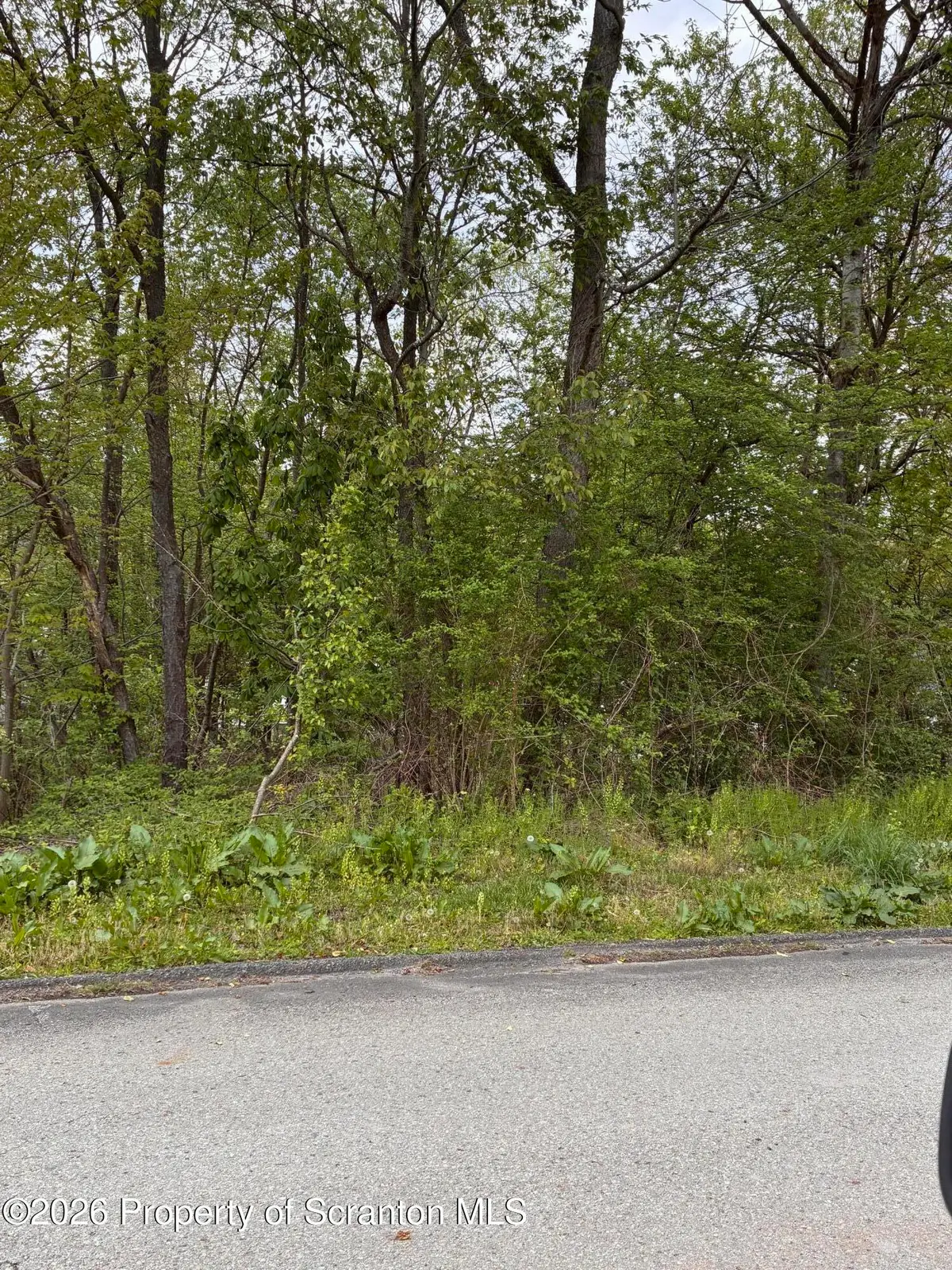 Park Street, Mayfield, PA 18433 - #1