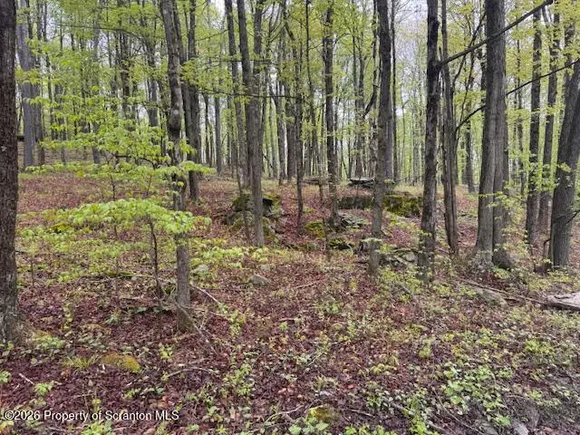 0 Ebbs Corner, New Milford, PA 18834 - #3