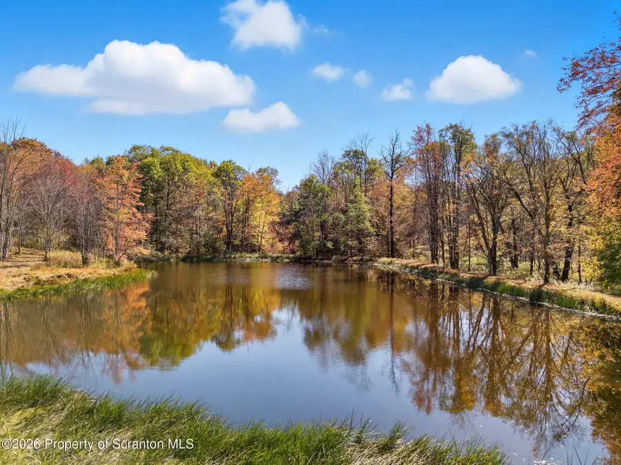 Wildenberg Road, Clifford, PA 18470 - #2