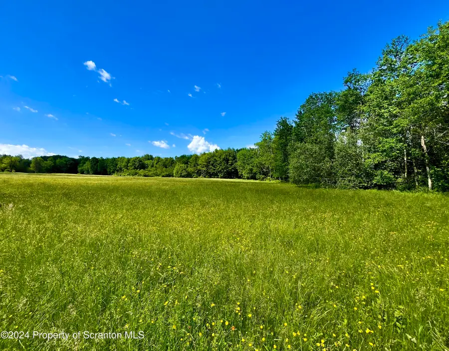 9755 State Route 171, Union Dale, PA 18470 - #2