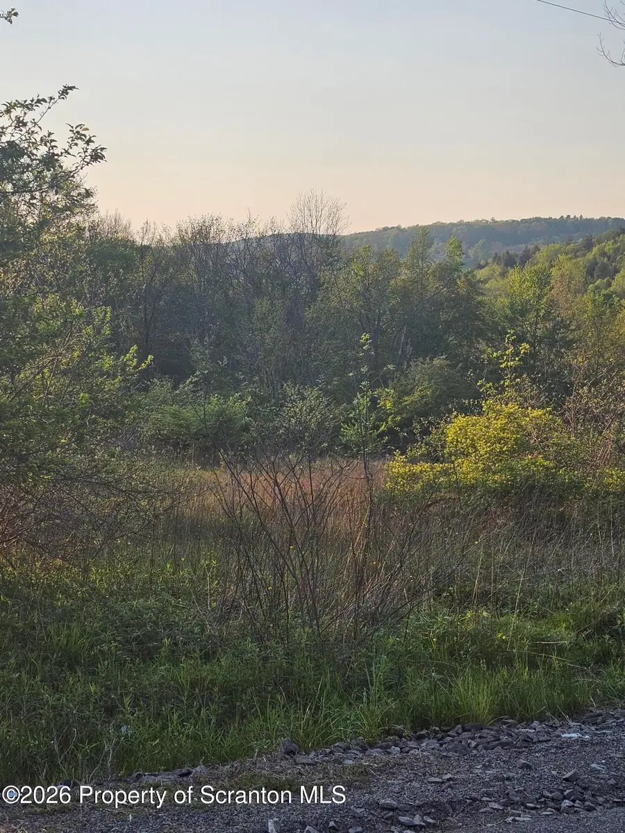 Callapoose Road, Sterling, PA 18463 - #2