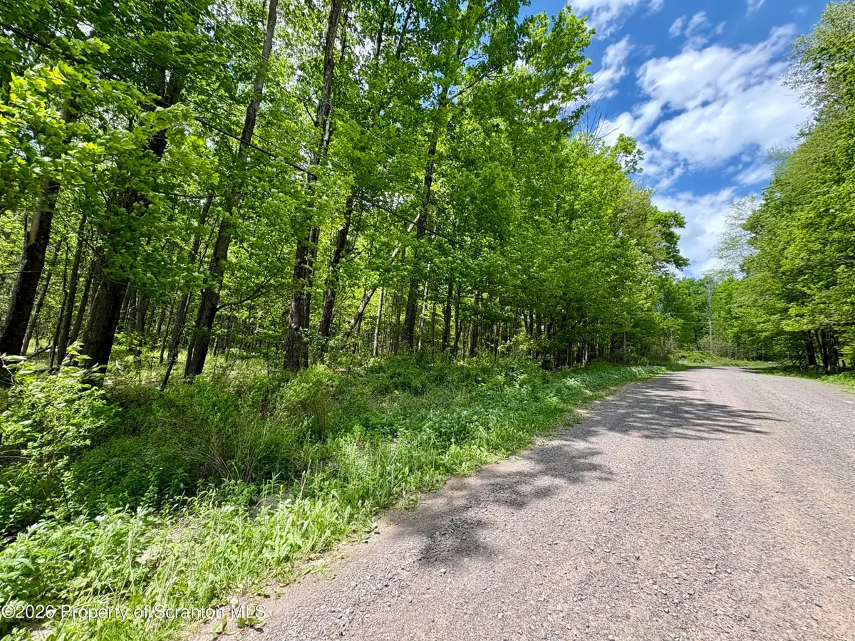 Marys Lane, Spring Brook, PA 18444 - #1