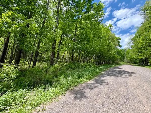 Marys Lane, Spring Brook Twp, PA 18444