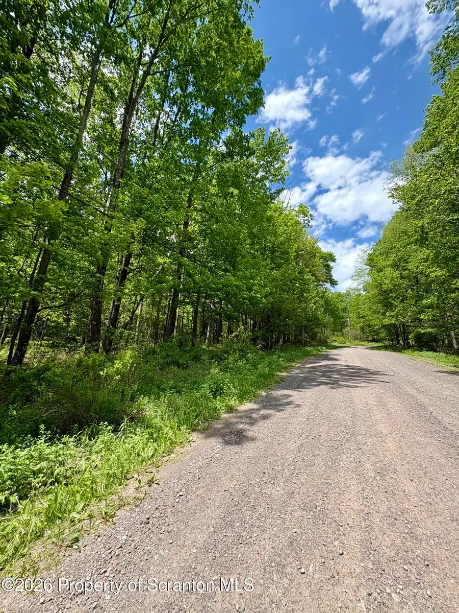 Marys Lane, Spring Brook, PA 18444 - #3