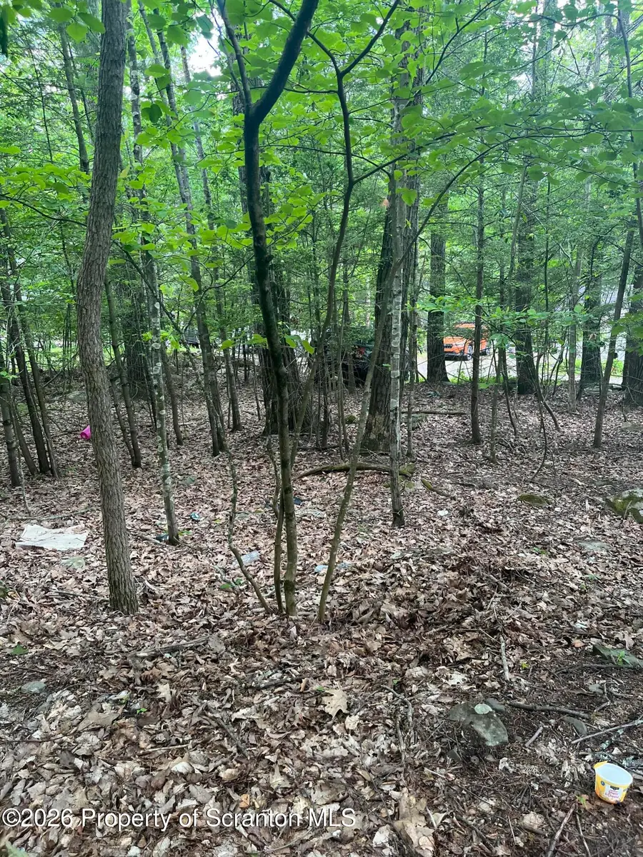 Glowatch Lane, Tunkhannock, PA 18657 - #2
