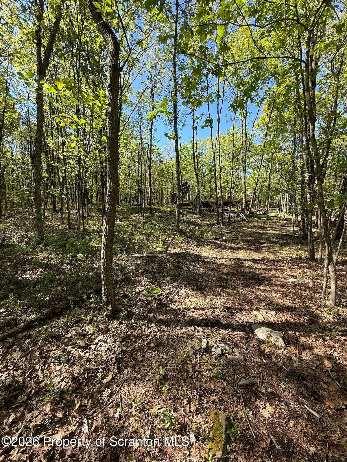 Forest Lane & Apple, Jefferson, PA 18436 - #1