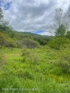 2560 Meshoppen Creek Road, Montrose, PA 18801 - #1