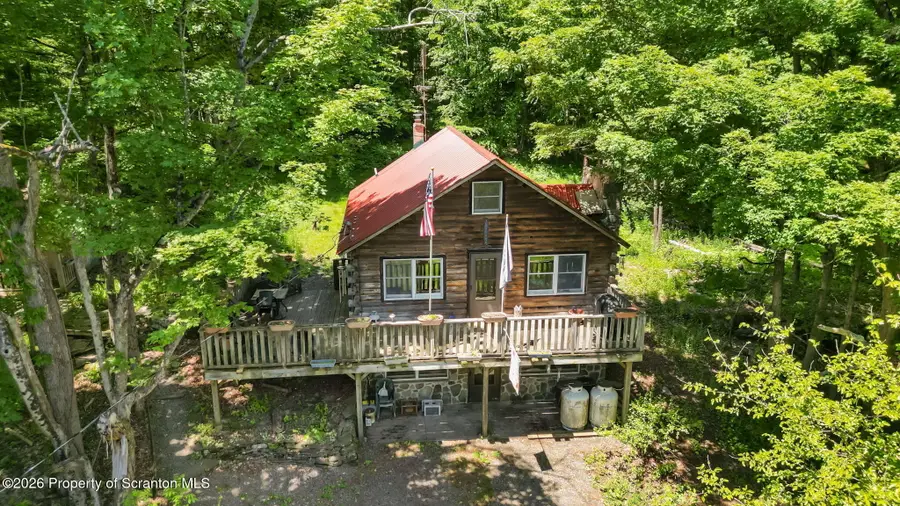 153 Daw Road, Pleasant Mount, PA 18453 - #2