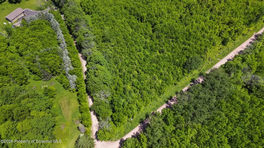 Daw Road, Pleasant Mount, PA 18453 - #2
