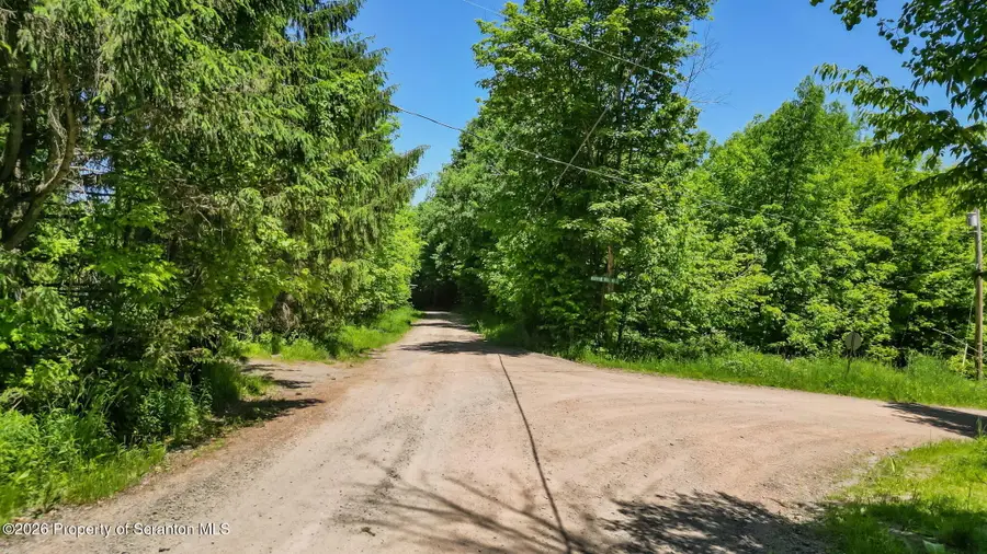 Daw Road, Pleasant Mount, PA 18453 - #3