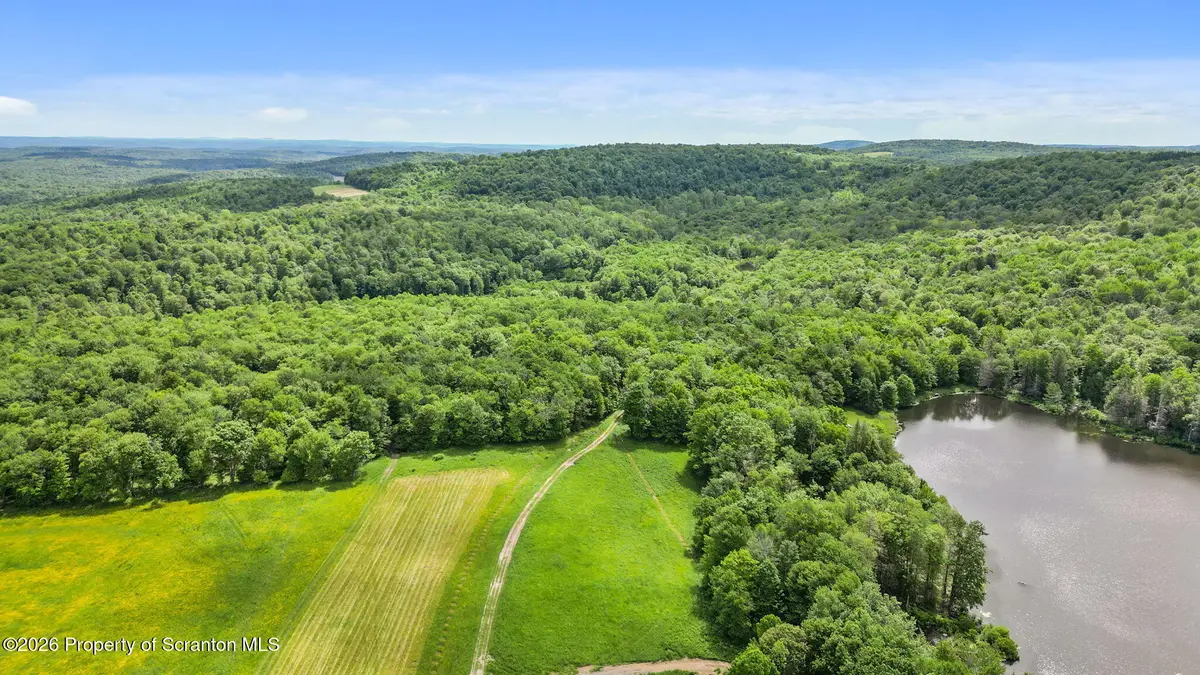 Skinny Dip Lane, Pleasant Mount, PA 18453 - #1