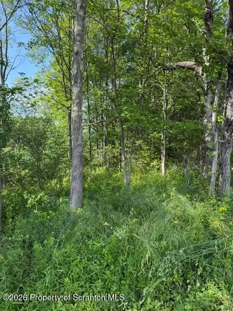 Shust Road, Greenfield, PA 18407 - #3