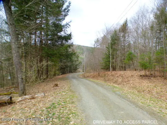 307 Bills Lane, Nicholson, PA 18446 - #2