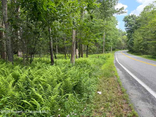 Lr 35045 So Of T 333, Covington Twp, PA 18444