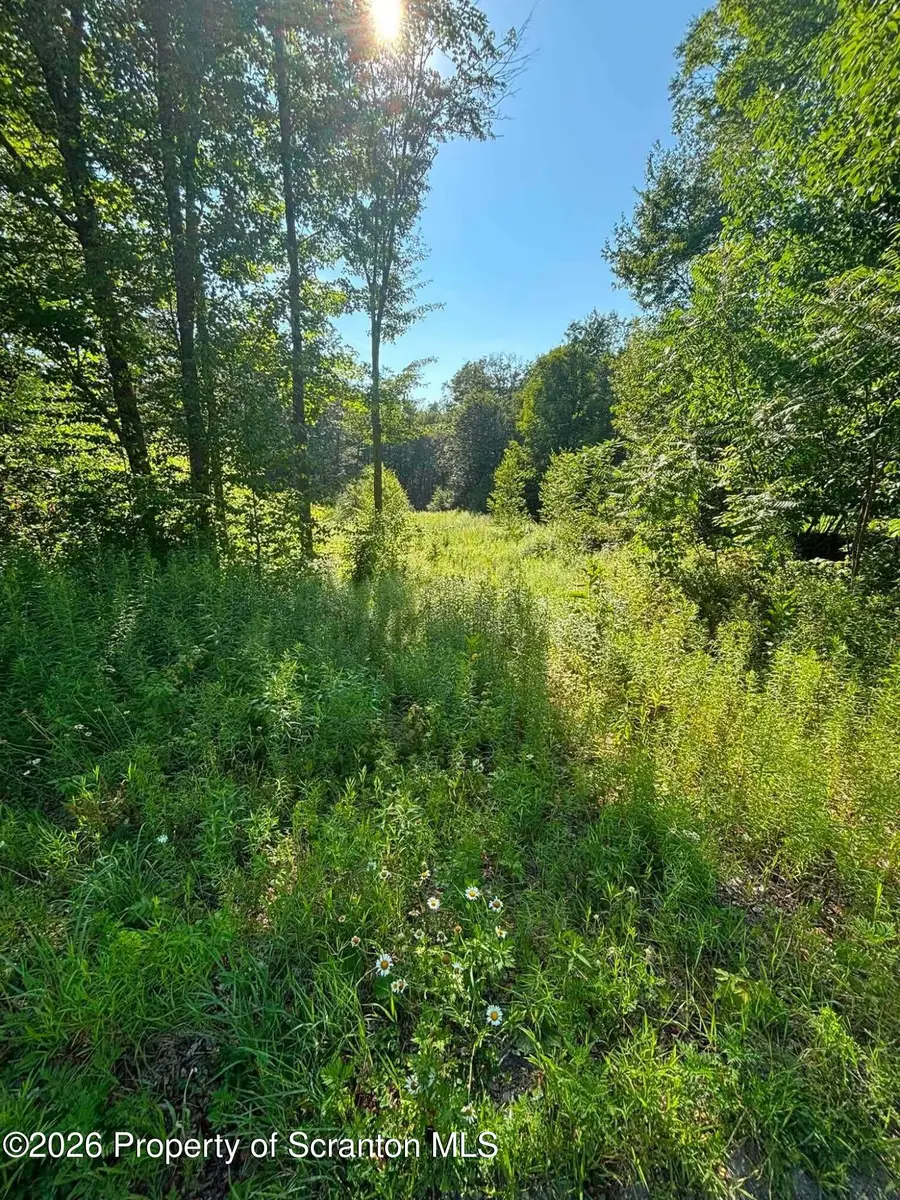 745 Marion Street, Forest City, PA 18421 - #2