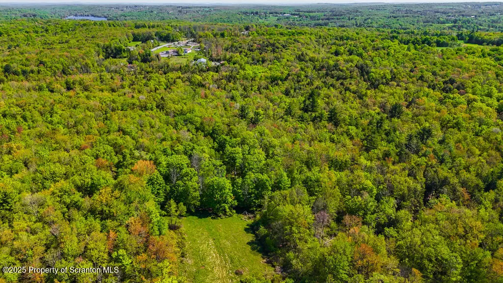 87 Goose Pond Road, Lake Ariel, PA 18436 - #1