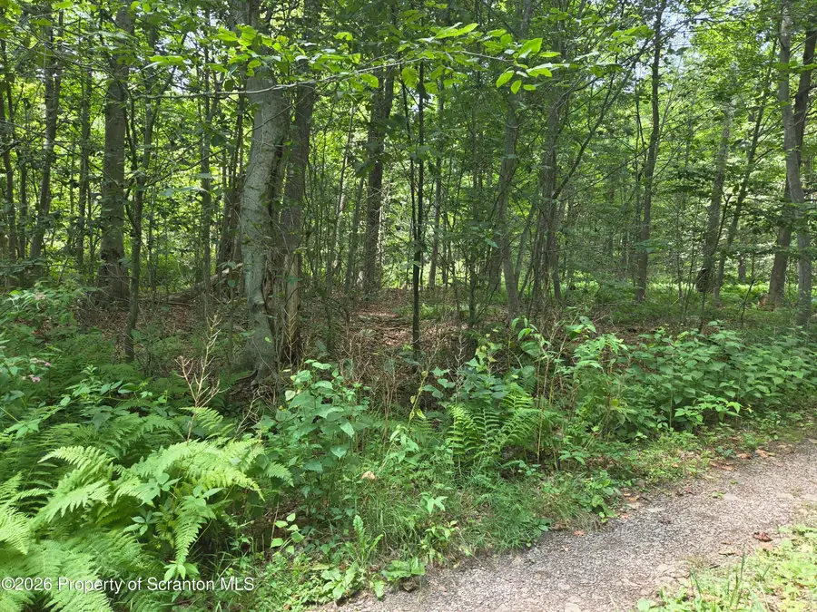 Lot 2 & 3 Scranton Pocono Highway, Covington, PA 18444 - #2