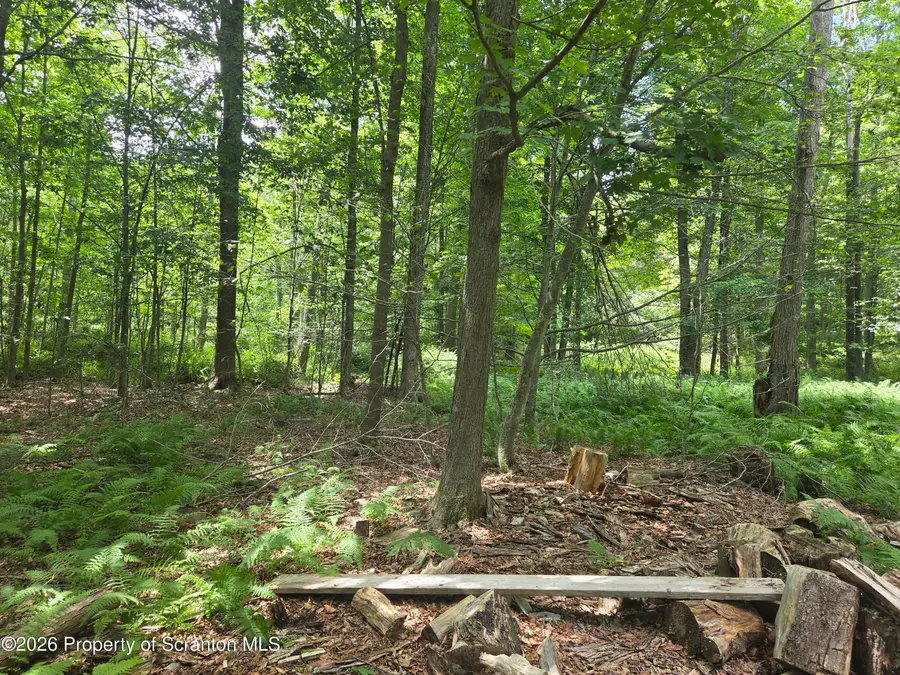 Lot 2 & 3 Scranton Pocono Highway, Covington, PA 18444 - #3