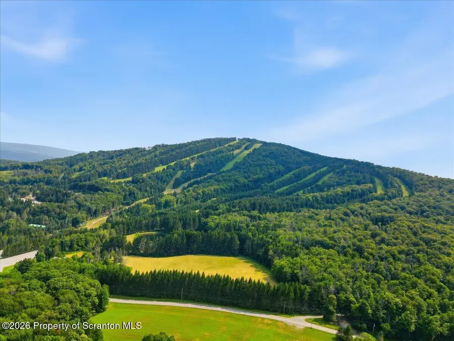 450 Tirzah Road, Union Dale, PA 18470 - #3