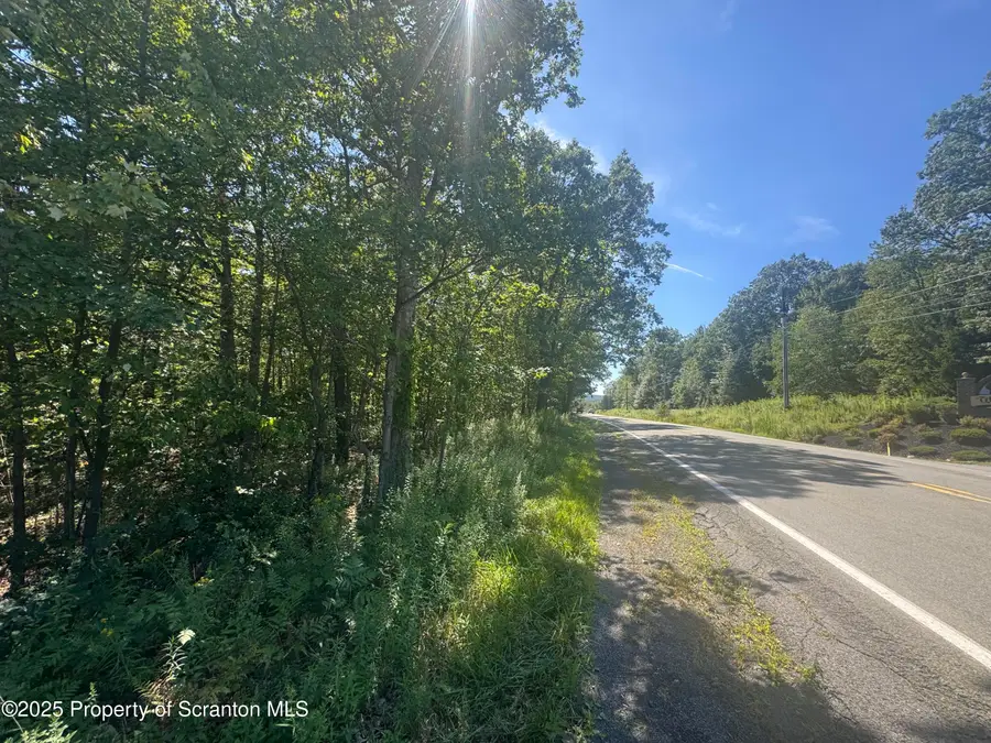 Mt Cobb Road, Roaring Brook, PA 18444 - #3