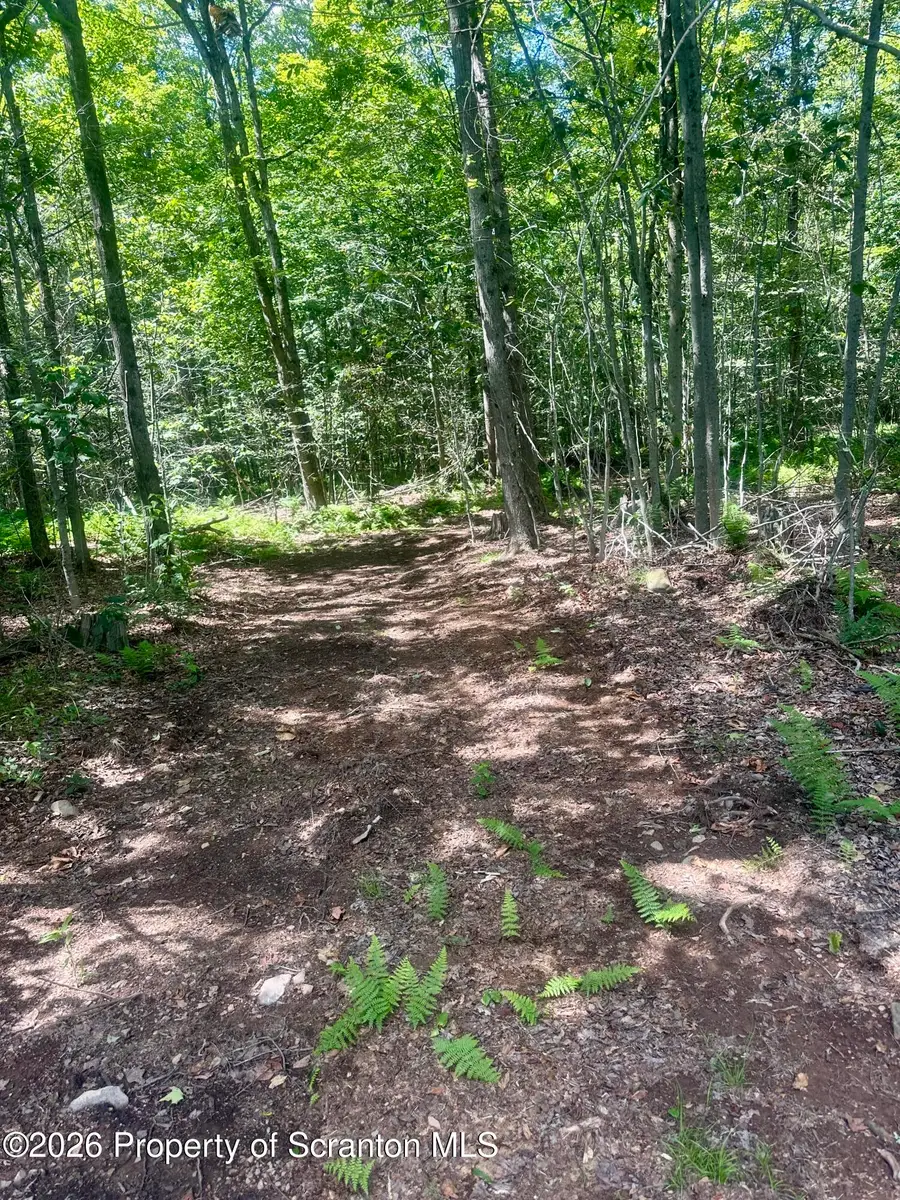 White Rock Drive, Forest City, PA 18421 - #3