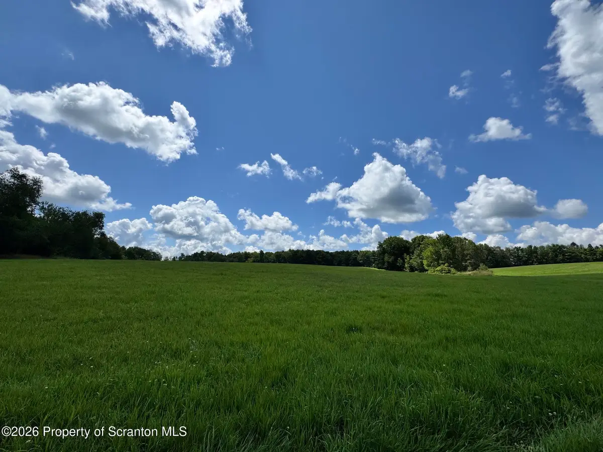 Franks Road, Susquehanna, PA 18847 - #1