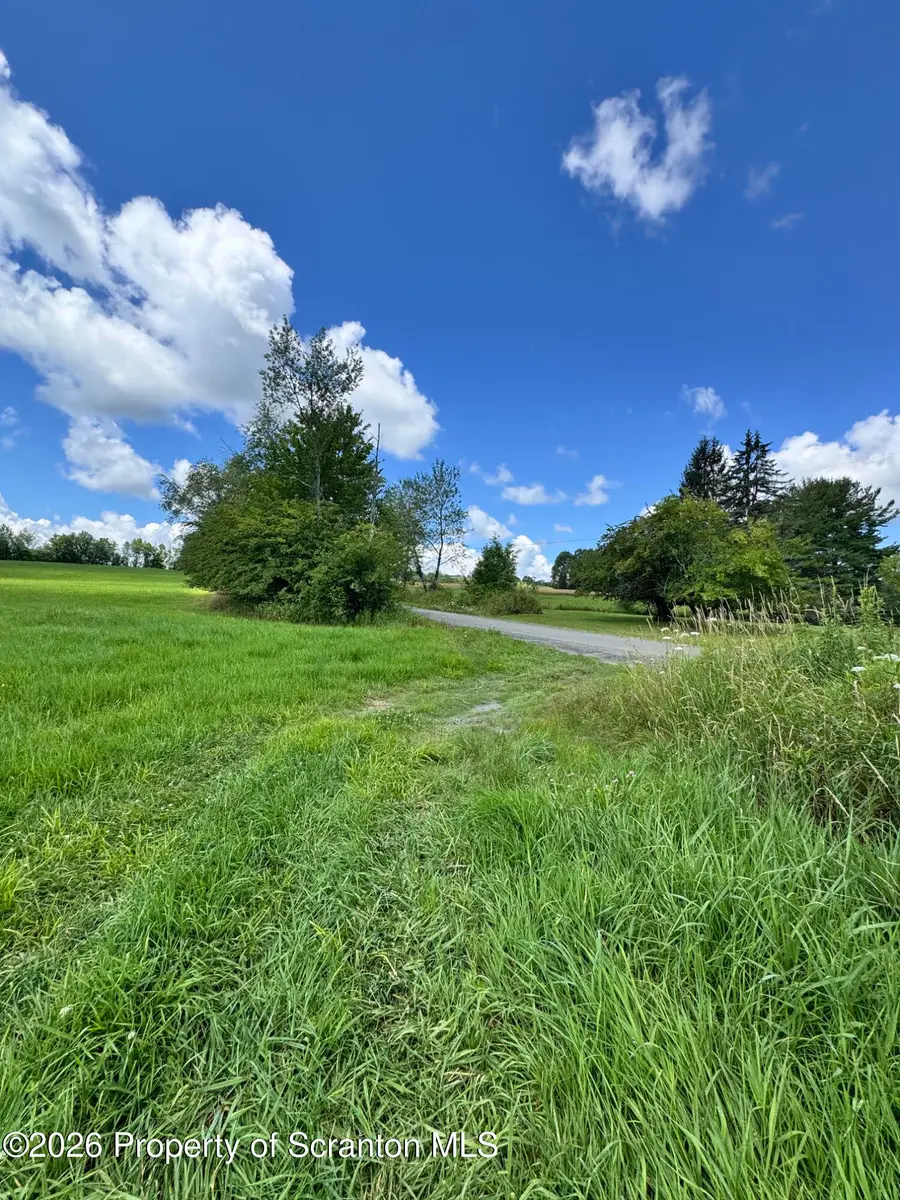 Franks Road, Susquehanna, PA 18847 - #2
