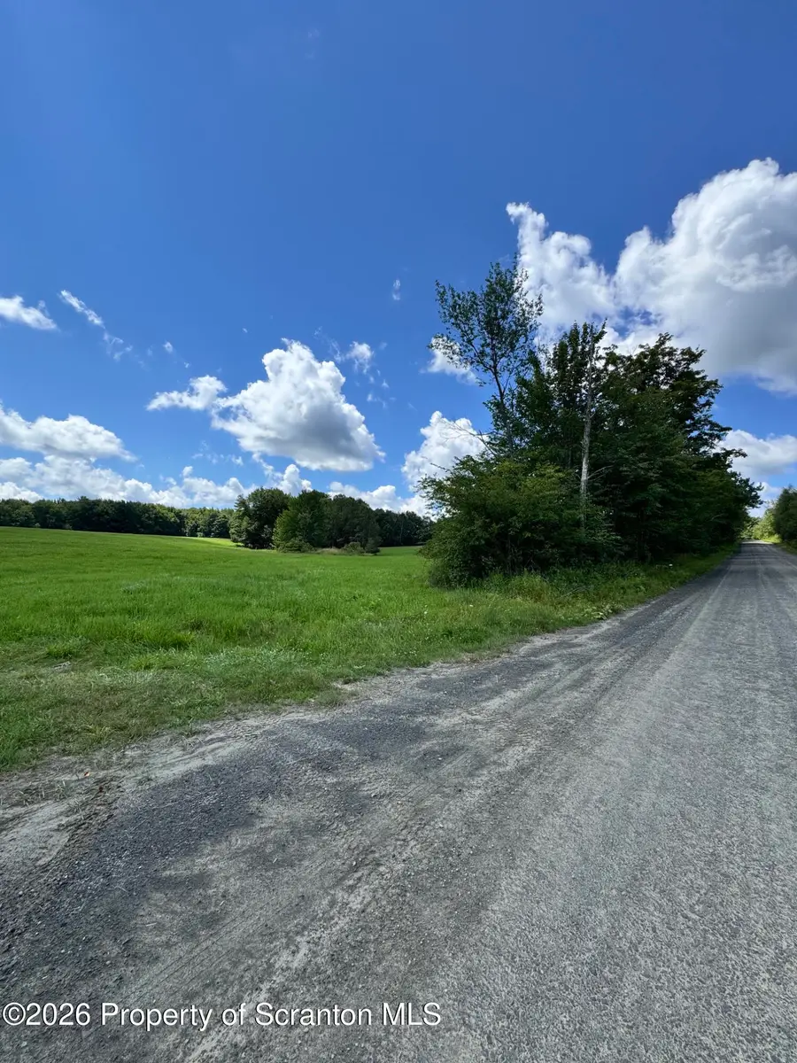 Franks Road, Susquehanna, PA 18847 - #3