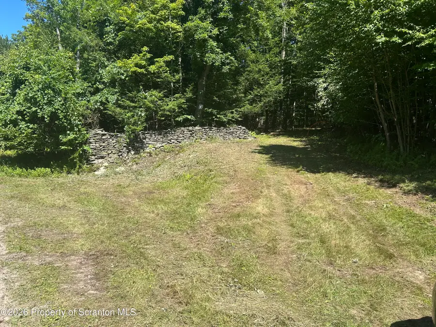 262 Victory Lane, Dalton, PA 18414 - #2
