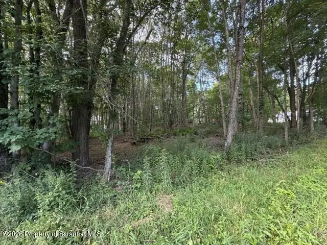 265 N Smith Road, Waymart, PA 18472 - #2