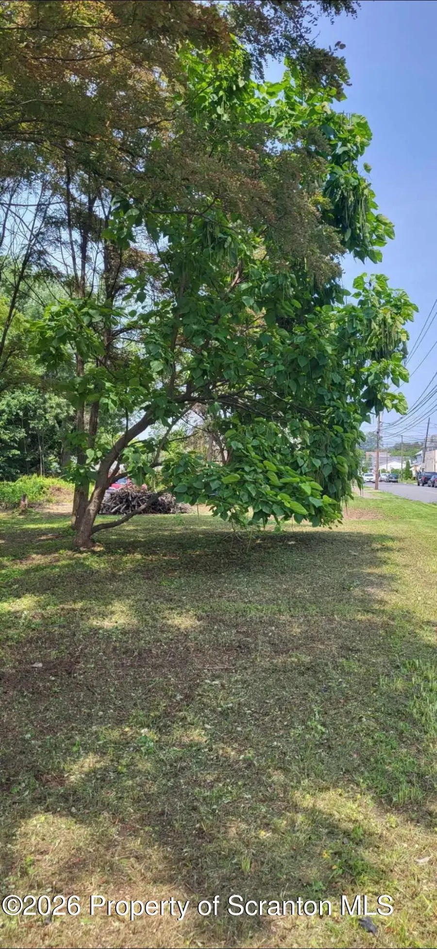 Mayock Street, Wilkes Barre, PA 18705 - #3