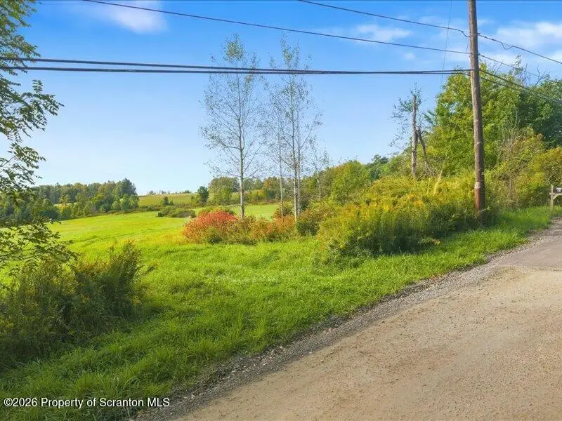 Singer Road, Montrose, PA 18801 - #2