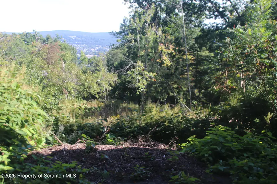 2970 Frink Street, Scranton, PA 18504 - #3