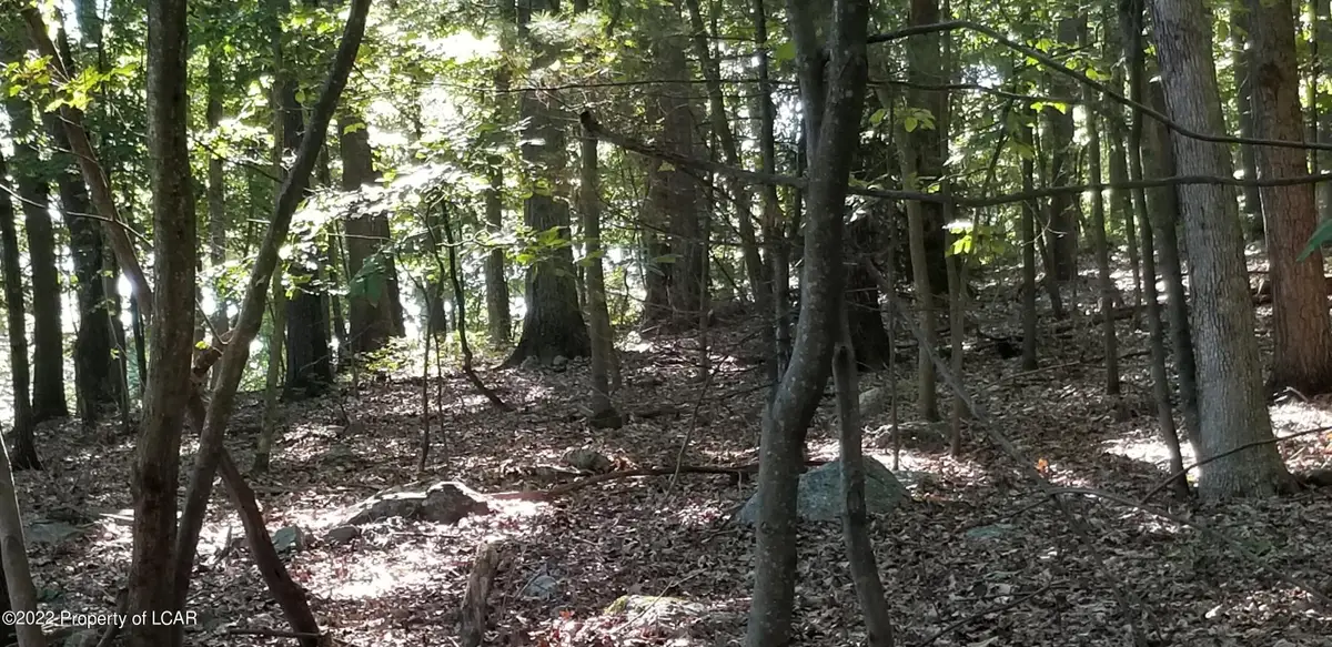 007 Raeder Avenue, Nuangola, PA 18707 - #1