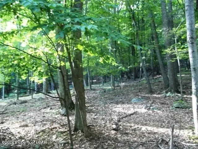 #3