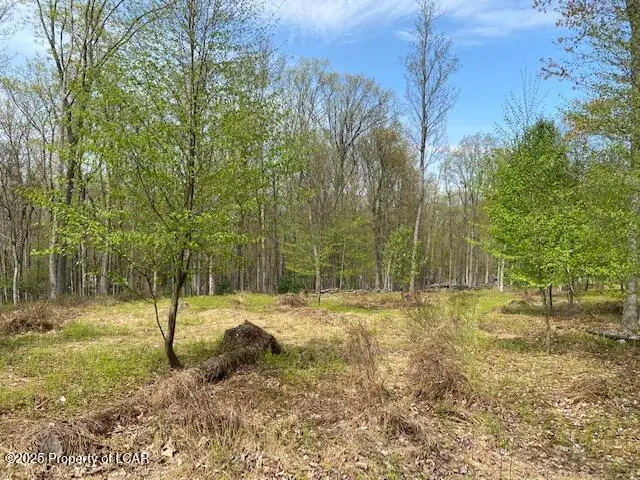 69 Edge Rock Drive, Drums, PA 18222 - Image #3