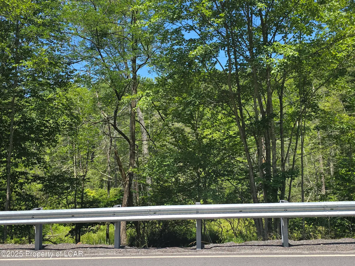 Second Street, Harveys Lake, PA 18618 - #1