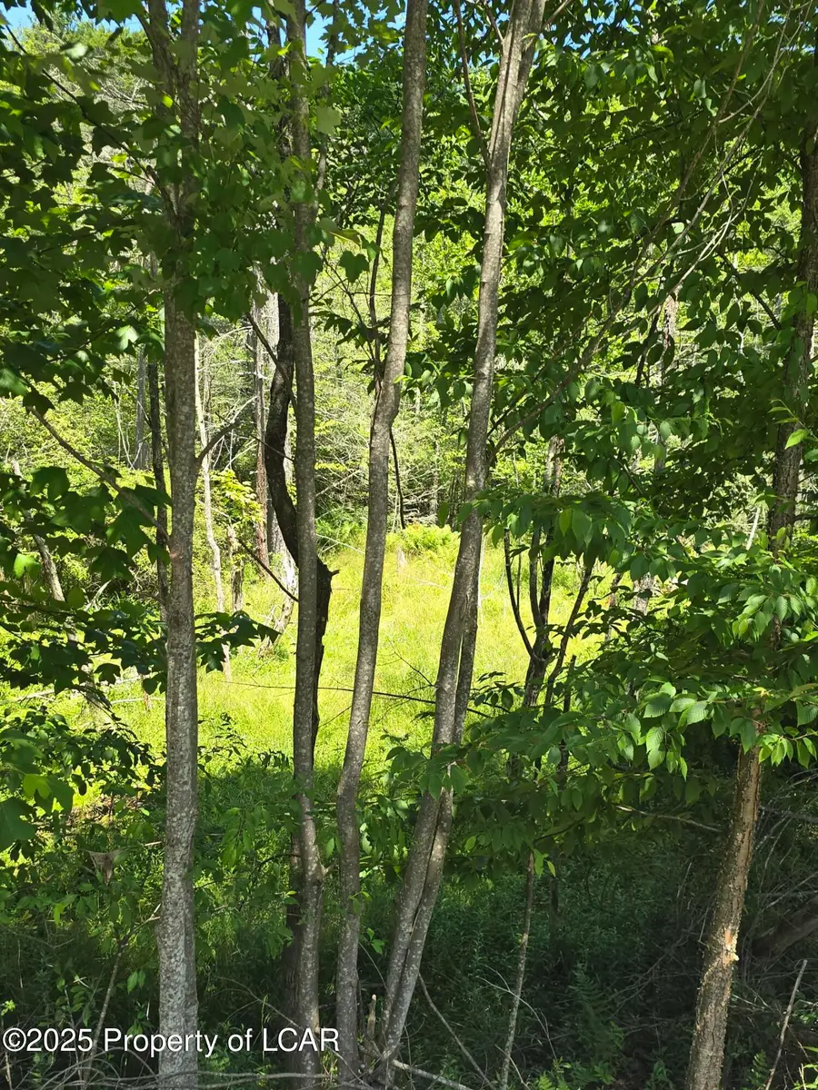 Second Street, Harveys Lake, PA 18618 - #3