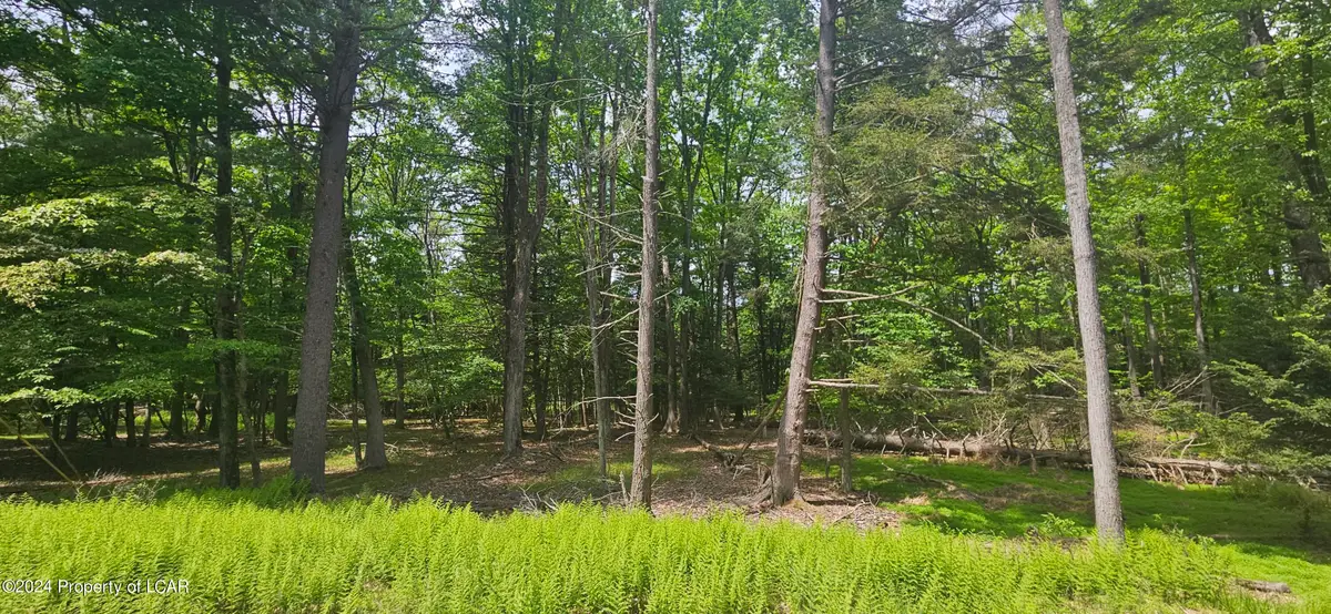 EA Lot 247 Algonquin Drive, Hazleton, PA 18202 - #1